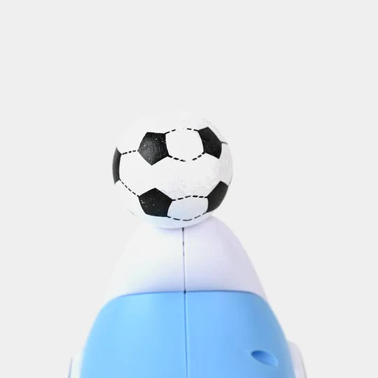 Dolphin Light & Music Toy